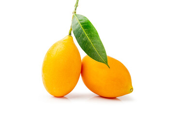 Fresh sweet marian plum with leaf isolated on white background.