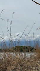 Obraz premium View of Mount Fuji from Afar