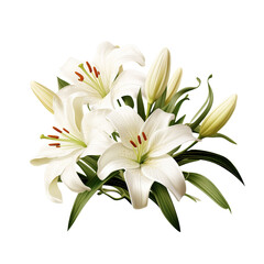 Easter Lilies isolated on transparent background.