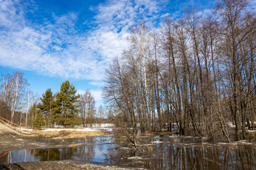  A tranquil winter landscape unfolds as the sun casts long shadows on the pristine snow-covered ground. Bare birch trees stand tall against the clear blue sky