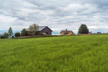 abandoned farm in summer