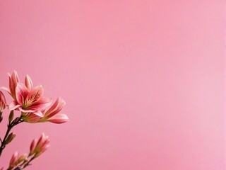 Naklejka premium pink flower background
