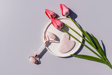 Rose quartz roller massager, gua sha scraper on white round tray with live tulips. Top view. Gray background. Lifting massage, self-care.