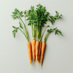 Carrots. A healthy and tasty vegetable. Good source of vitamin A.