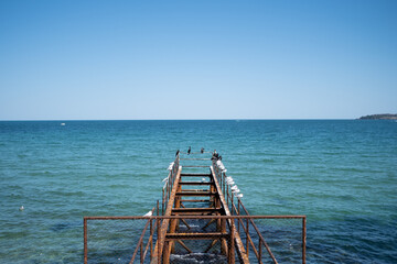 Fototapeta premium pier with gulls on the sea
