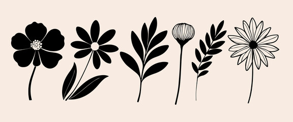 Set of beautiful leaves plants, leaves, flower design. Vector illustration