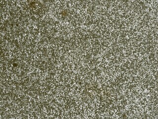 テクスチャ素材：コンクリート舗装表面