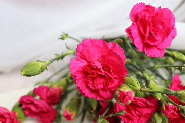 greeting card design. large bouquet of red roses on a white background and blank for text	
