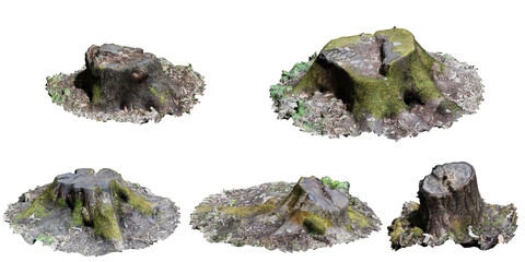 A set of realistic tree stumps. Perfect transparent background.