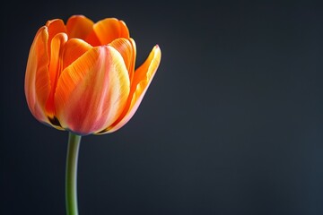 Whole blue Forget-me-not plant with roots and flower. Beautiful simple AI generated image in 4K, unique.