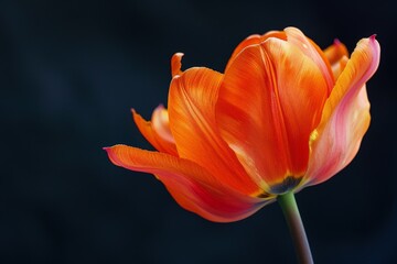 Whole blue Forget-me-not plant with roots and flower. Beautiful simple AI generated image in 4K, unique.