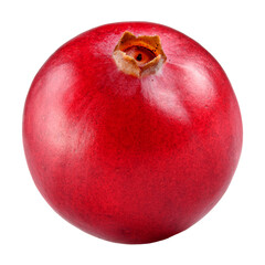 Cranberry transparent