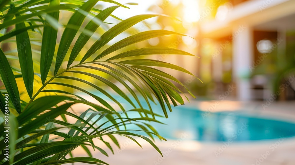 Aufkleber a palm tree stands tall in front of a sparkling swimming pool, under a clear blue sky
