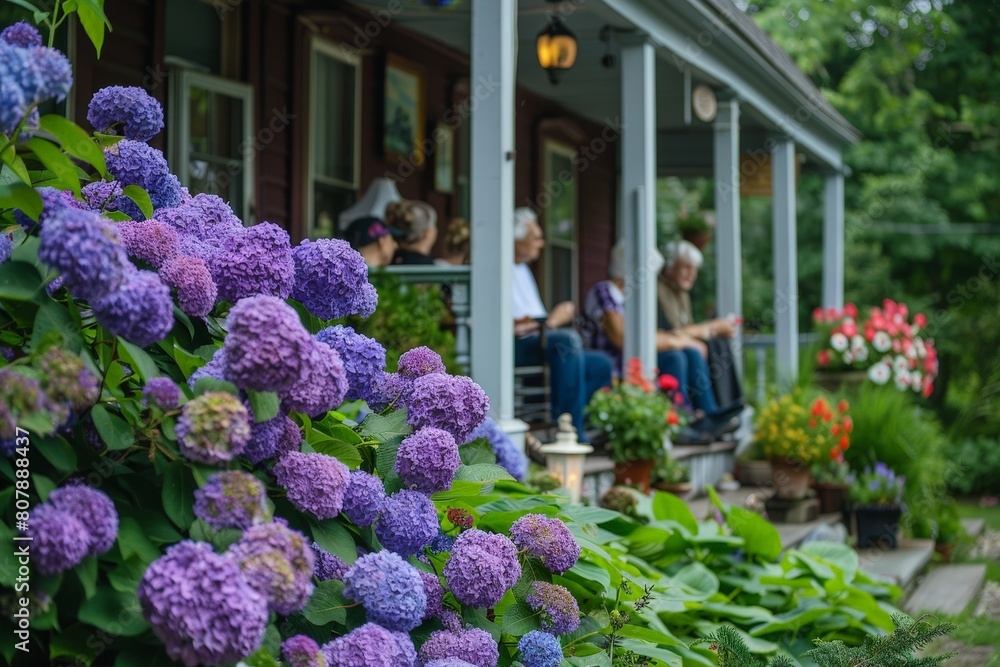 Poster lush hydrangeas in full bloom add a pop of color to the porch of a residential home