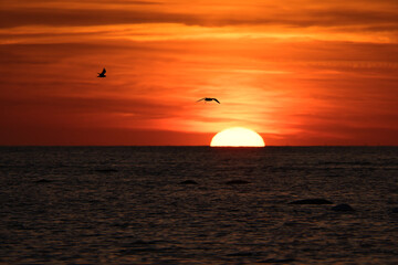 Sunset on the horizon of the Baltic Sea. Orange sun sinks into the water. Romantic