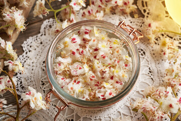 A glass jar filled with horse chestnut blossoms and alcohol, to prepare herbal tincture