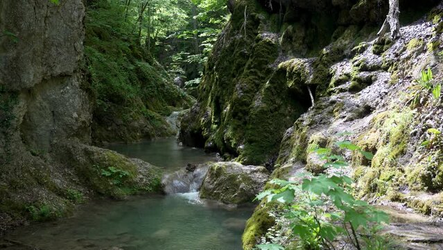 Ovcar and Kablar mountains new West Morava river in Serbia, view of natural park, rocks, trees and fields of grass. Protected Serbian natural park.