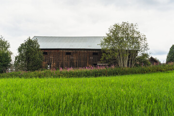 old wooden barn of abandoned farm