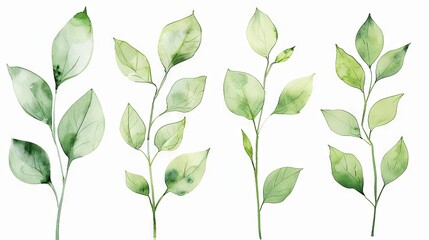 Elegant watercolor green leaves collection on white background