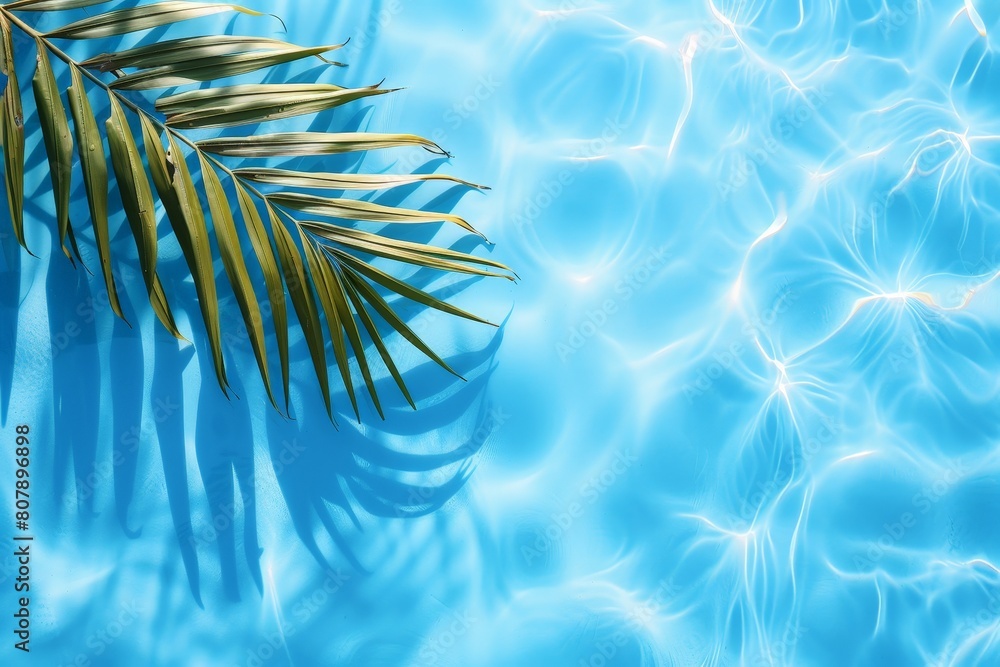 Wall mural A green palm leaf floats on the surface of a clear blue swimming pool, creating a tropical touch to the serene water