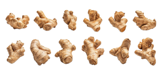 Set of fresh ginger root and rhizome isolated on transparent background