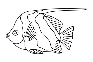 Tropical Fish. Simple Hand Drawn. Isolated on white background. line art drawing Art therapy Coloring page for kids and adults. Black and white Vector illustration