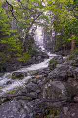 The water from Bridal Veil Falls in Yosemite National Park rushes over a rocky stream on its way to the Merced River. Taken from the trail to the base of Bridal Falls. 