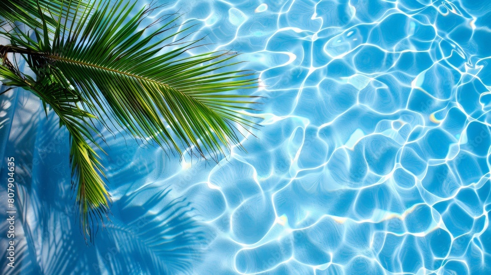 Poster A palm trees reflection is visible in a sparkling blue swimming pool under the clear sky on a sunny day