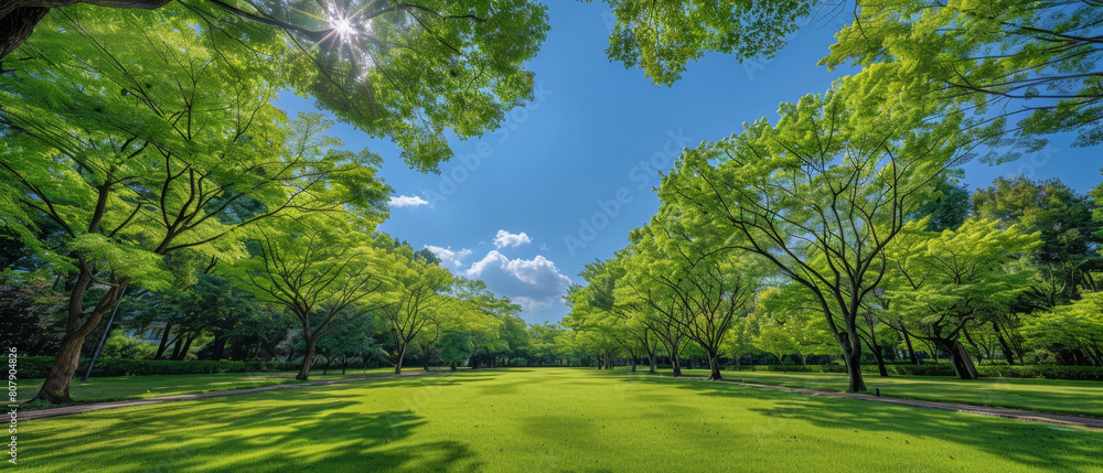 Poster scenic view of public park with lush trees and winding walk paths from a low angle perspective.