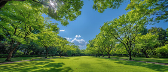 Scenic view of public park with lush trees and winding walk paths from a low angle perspective. - Powered by Adobe