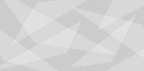 Abstract elegant background white and gray triangle texture. Abstract white and grey geometric overlapping line pattern abstract futuristic background design. data concept. vector illustration.