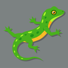 Green lizard on a gray background. Vector illustration of a lizard.