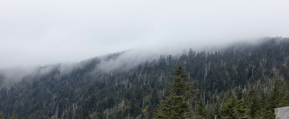 Great Smoky Mountains with low clouds