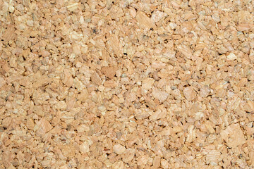 コルクの表面