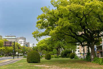 広島県広島市中区三川町の平和大通り、歩道と緑地部分
