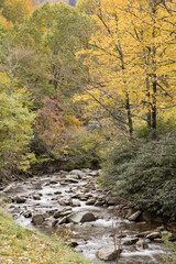 Stream flowing through Autumn woods