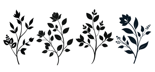 Botanical floral branch in silhouette, vector illustration