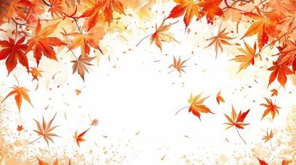 illustration of maple leaves on a isolated background, with a red maple leaf on the left, a white maple leaf in the center, and a green maple leaf on the right