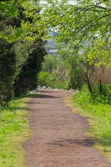 path in the park