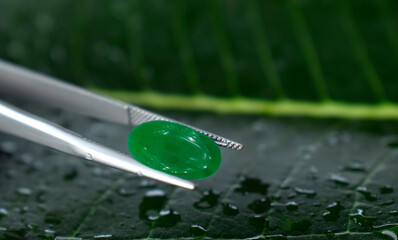 Green jade Rare and expensive For making jewelry.