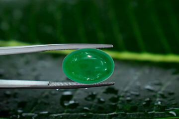 Green jade Rare and expensive For making jewelry.
