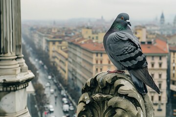 Close-up of a pigeon perched on a weathered statue, overlooking a city street