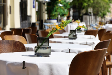 Street cafe in city with empty tables outdoor. Vases of flowers on round tables and cozy chairs in sunny day