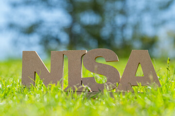 NISAのテキストと緑の芝と青空