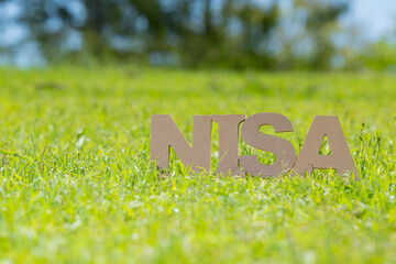 NISAのテキストと緑の芝