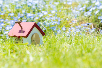 青い花と赤い屋根の小さい住宅