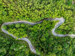 Overview of green bamboo forest and winding mountain road
