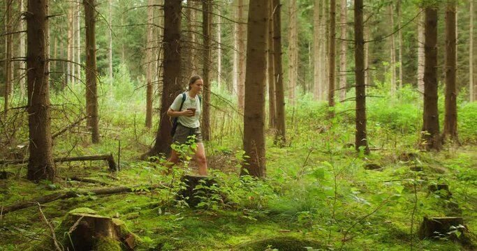 Exploring the forest, a hiker takes in the serene environment with thoughtful steps. Woman carries a pot with a pine seedling for tree planting.