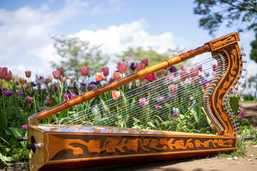 アルパとチューリップ