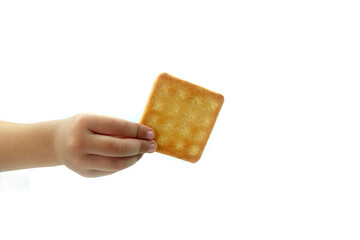 A child's hand holds a biscuit cracker. on a white background
